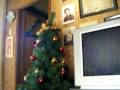 videos de new pic in coron 077