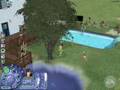 les sims 2 au fil des saisons extrait