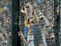 Elvis - Fußballfans sind Verbrecher