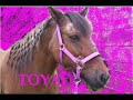 Toya