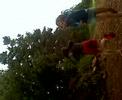 LE MAZET 08