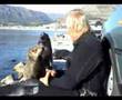 Talking French Kissing Wild Seal 
