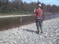 Cascapedia Salmon, Forks Pool
