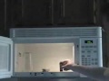 Instructional:  How to Make Plasma in a Microwave