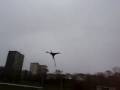 Giant 3D Blackwing Pterodactyl kite