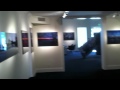 Andrew Levitas at Arcature (andrew levitas artist ...
