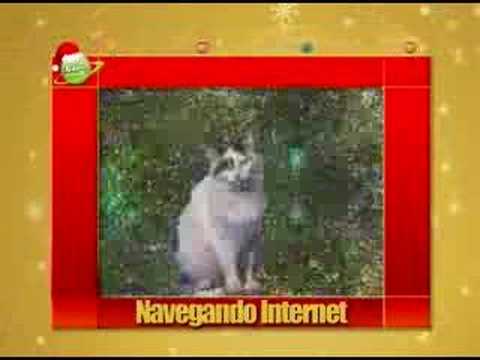 Imagen de previsualización de YouTube