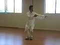Simplified 24 Form Tai Chi (slow & low style)
