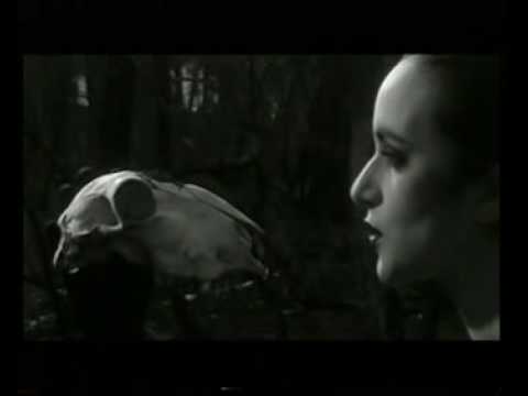 Video de Wasted Days de Love of Lesbian