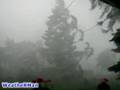 High Wind Thunderstorm - YouTube