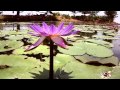 TUBTIM OF SIAM.flv