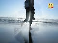 Flamenco Chillout - La Saeta