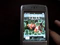 iPhone WM5 Skin