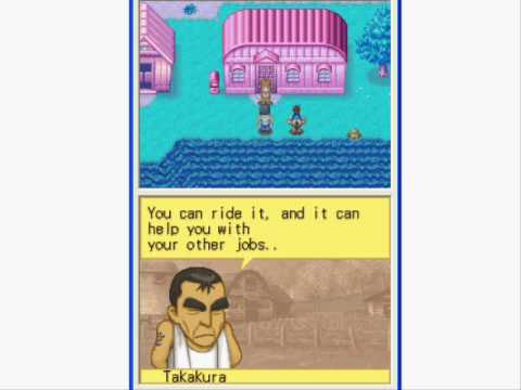 how to expand house in harvest moon ds