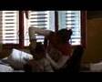 Kumary House - 2: Escenas de Kumary House