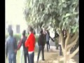 استعرض الفيديو