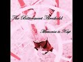 The Bittersweet Threshold - The Brownie Song