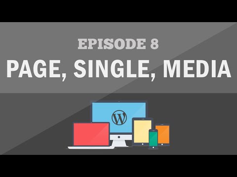 how to query custom post types wordpress
