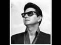Paul Staines sings Penny Arcade (Roy Orbison)