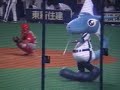 テキトーに撮影