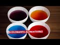Œufs de Pâques (Saison 1 Épisode 33)