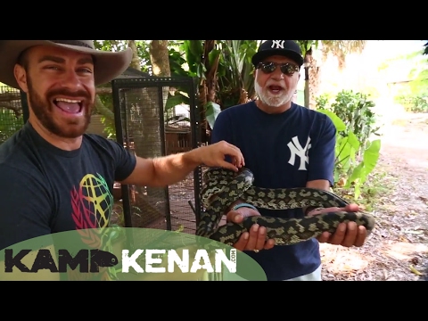 YouTube reptile video