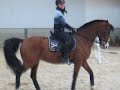 Bambounet d�conne