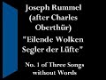 the composer and pianist joseph rummel (1818-80) was a member of a german family of musicians - his father, christian was a composer and conductor, and his grandson walter was a well-known trasncriber for piano of works by bach, liszt and others.  this piece comes from a set of three 'songs without words', all of which are transcriptions of harp works by charles
oberth�r (1819-95), a munich-born harpist and composer who spent his later years in london, where he taught harp at the royal academy of music(see http://www.corno.de/english/charles_oberthuer.htm for more information and a photo).  the title (translated as 