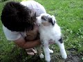 Our first day with our new puppy! Our first day with our new puppy!