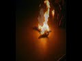 Antorcha humana luis rosel