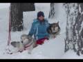 title="Skijoring