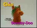 The Chia Pet