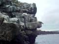 videos de Omer Galapagos