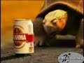 VIDEO // Tortuga: La Revancha... (www.futboldesabado.com.ar)