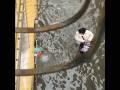 videos de Renato e l'acqua alta