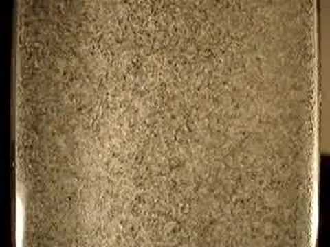 Fluidized Bed