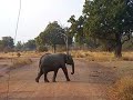 mfuwe zambia 9