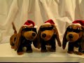 Biker Dachshunds Biker Dachshunds