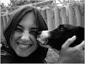:: Vida de Cachorro ::   por Le MoreliBilica, Bonita, Narinha, Edu, Chico, Tom e Pessoa
