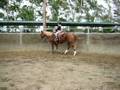 videos de Calli on Sally