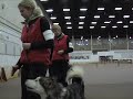 Team obedience @ OTCGL Dec. 5, 2009