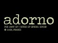 Adorno-For-Want-Of-R
