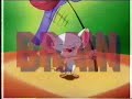 Pinky and the Brain / Japanese-version Theme Pinky and the Brain / Japanese-version Theme