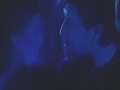 discoteca ti lascio perche ti amo tropposiani