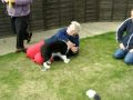 Puppy Reunion - Freddie, Jody and Riley