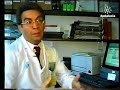 camaron de la isla inédito   los reporteros