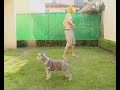 shet-by-mark-renton.html