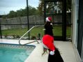 Christmas Day 2009_2