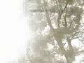 Clannad Megumeru Promotional Video