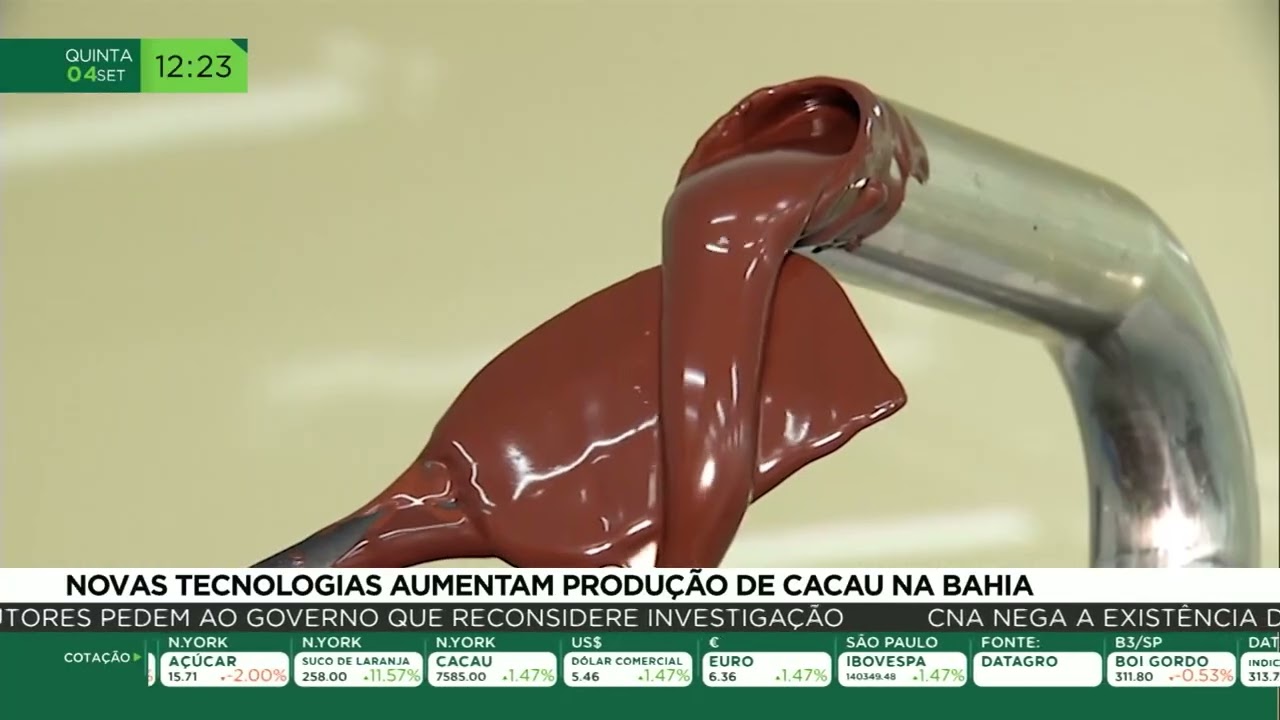 Novas tecnologias alimentam produção de cacau na Bahia
